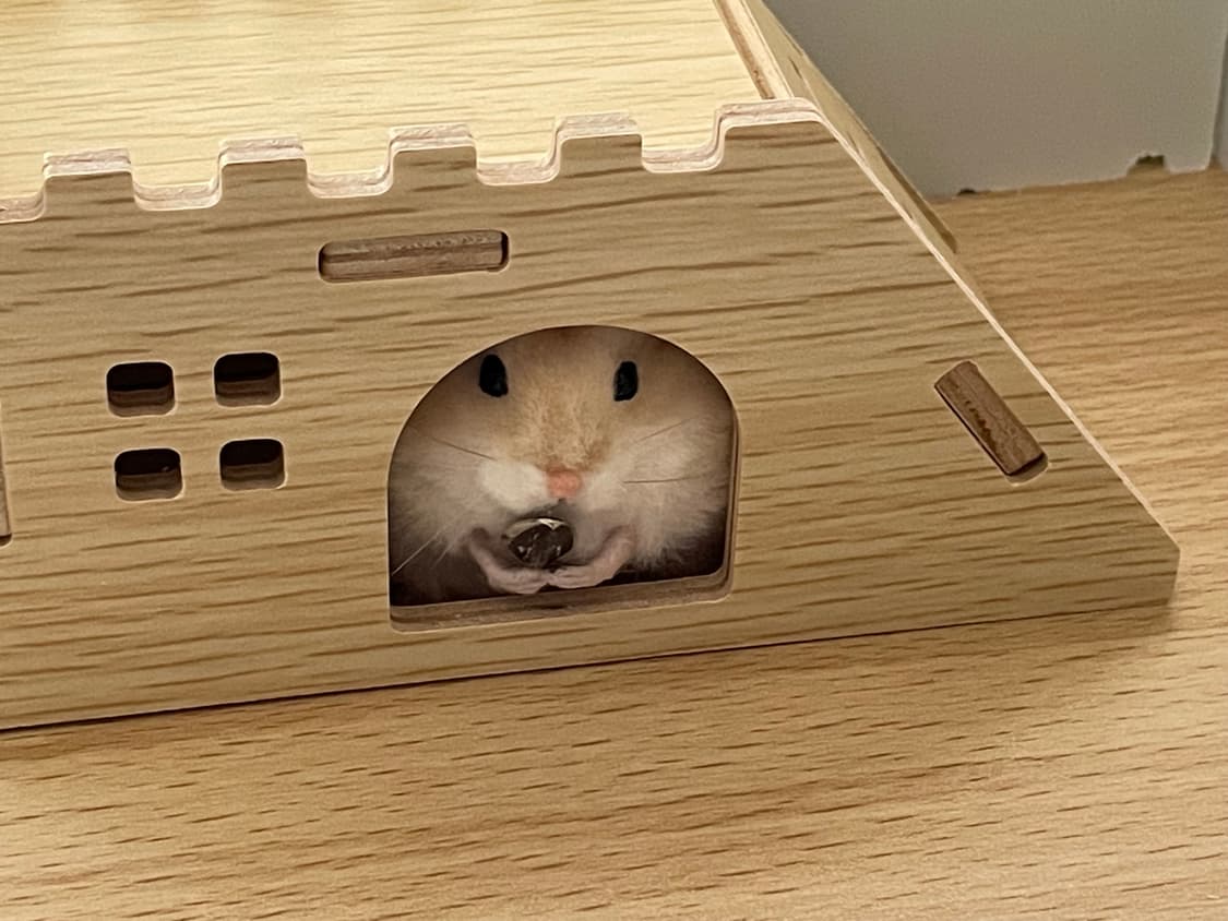 햄스터 실사 인형 (개귀여움) 상품이미지7