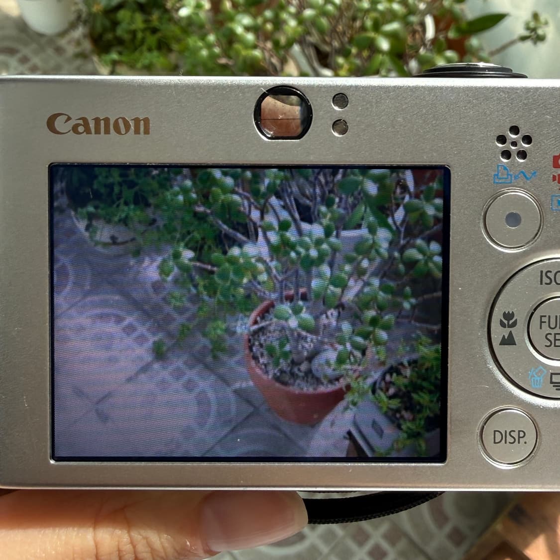 *박스풀구성•민트급* 캐논 익서스 canon ixus 70 상품이미지10