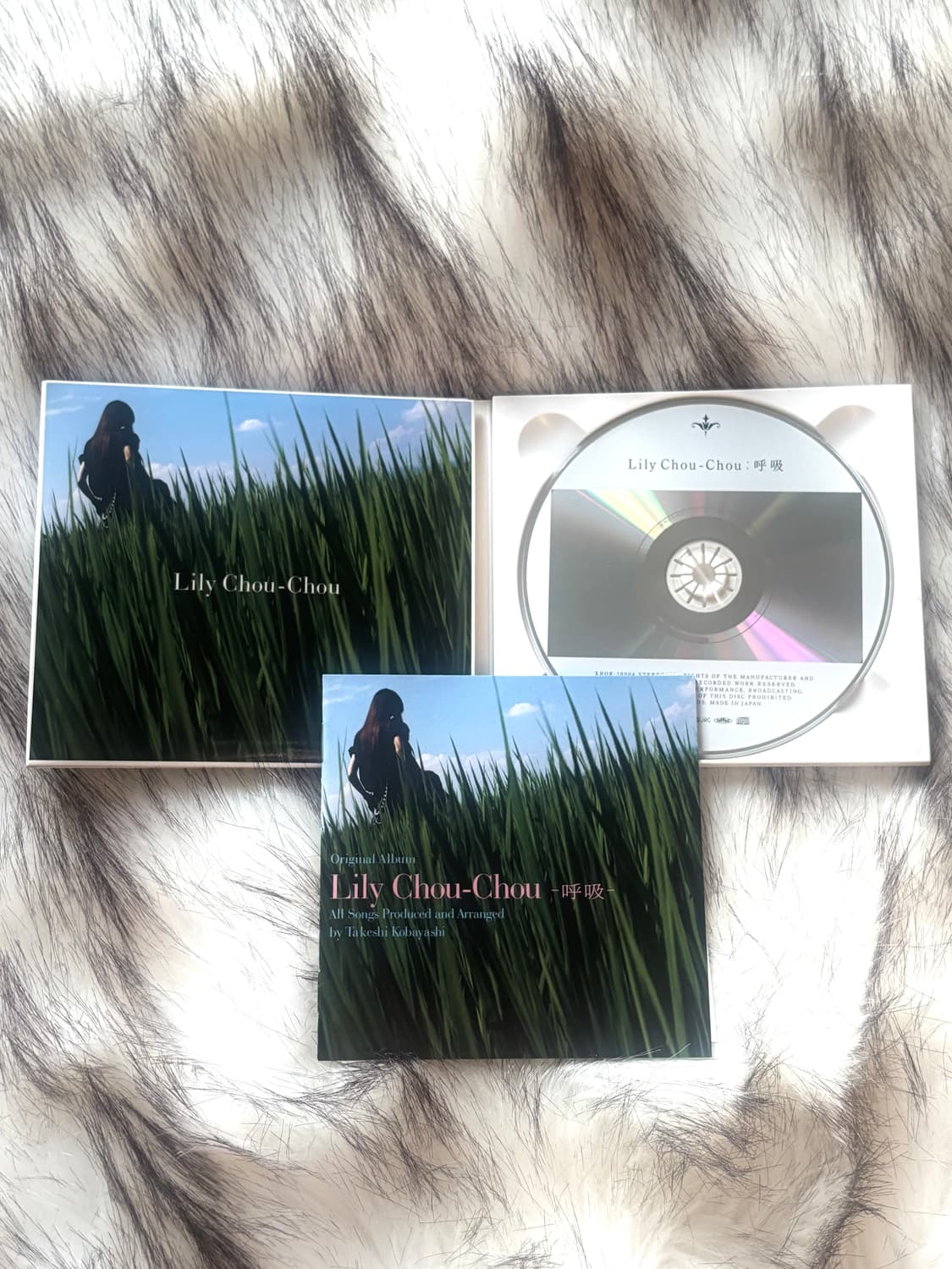 릴리슈슈의 모든것 2008 리마스터링 디지팩 CD 한정반 상품이미지4