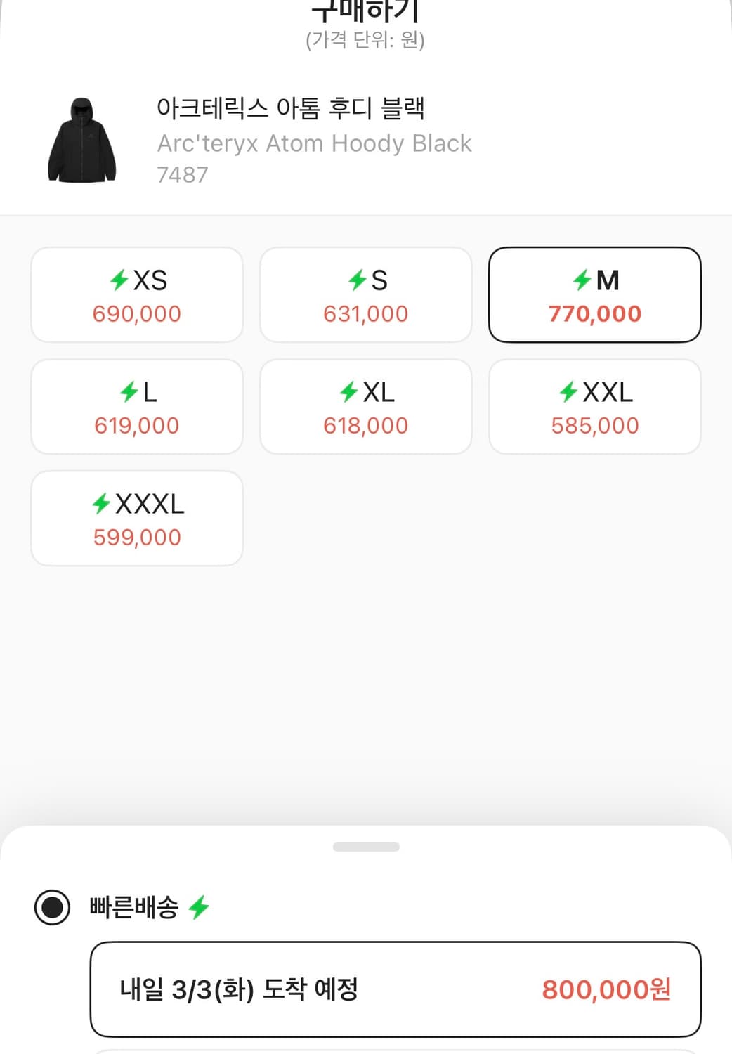 아크테릭스 아톰 후디 블랙 m 상품이미지4