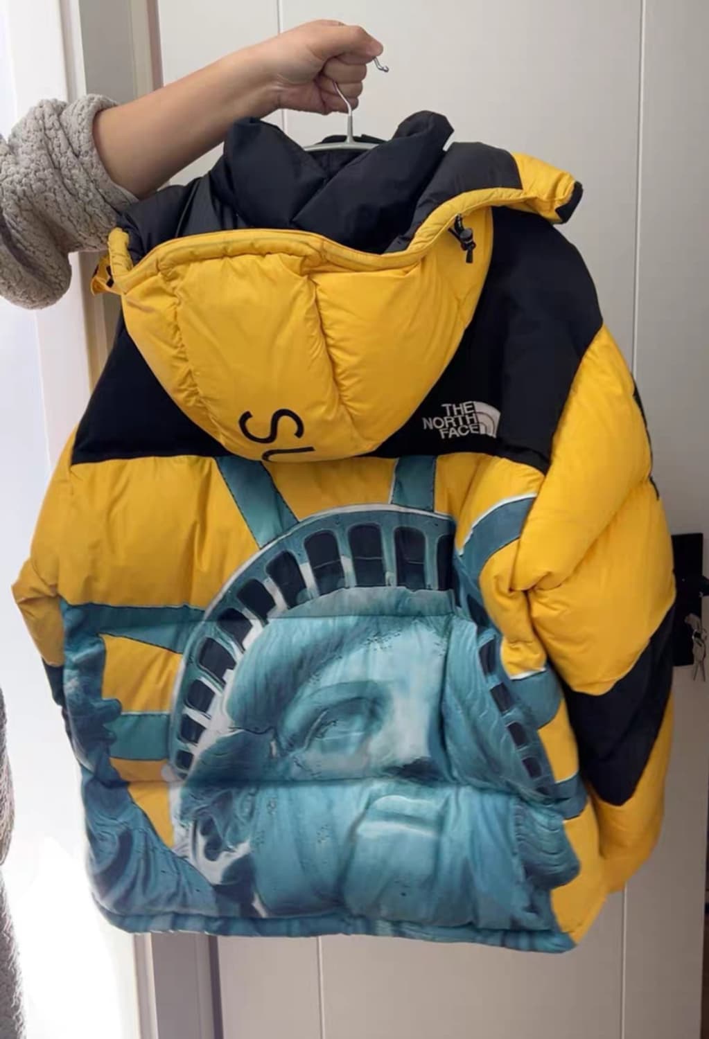 슈프림 노스페이스 자유의여신상 발토로 M 상품이미지2