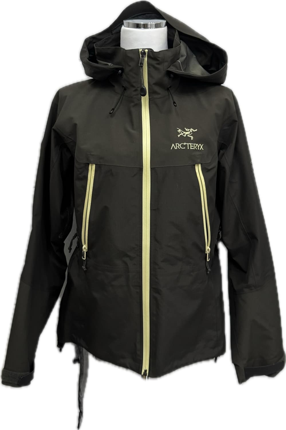 아크테릭스 AR 고어텍스 바람막이 상품이미지1