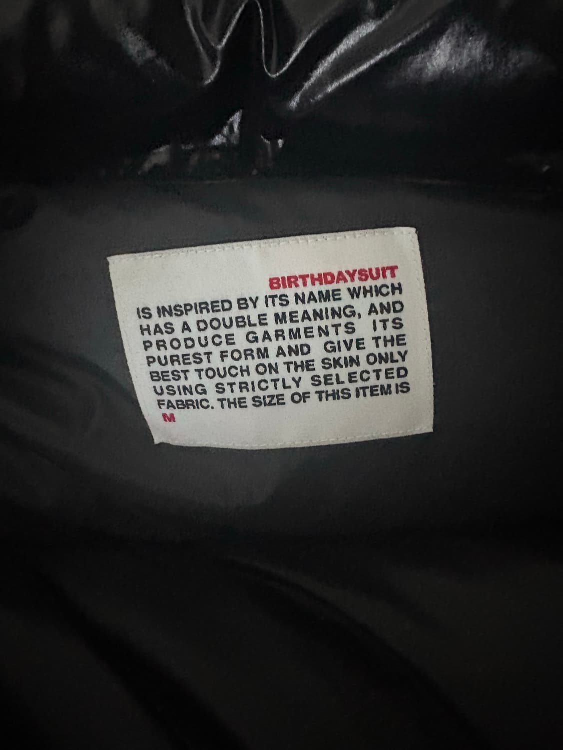 Birthdaysuit 유광 블랙 패딩(M) 판매합니다 상품이미지7