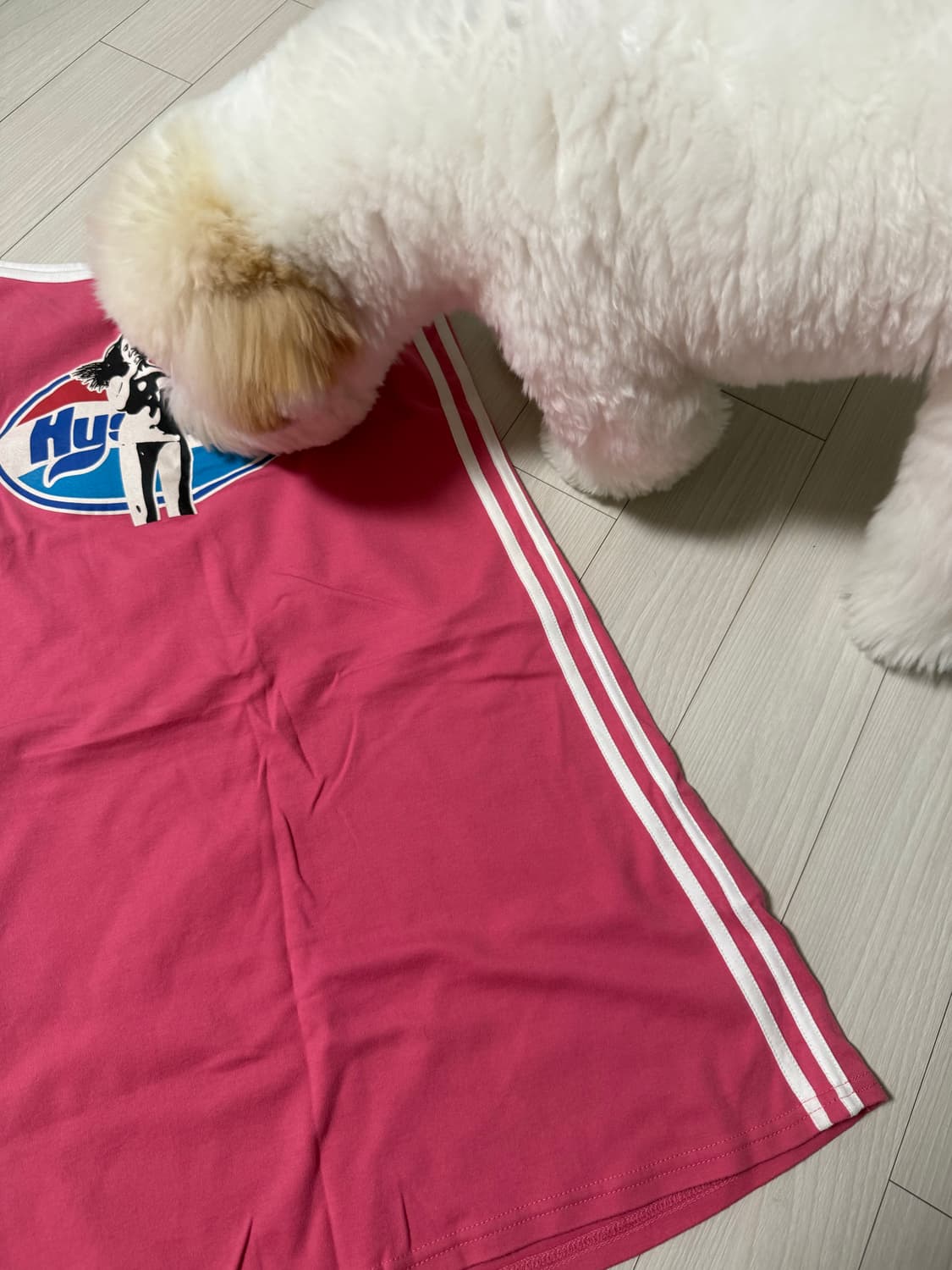 히스테릭 글래머 원피스 상품이미지6