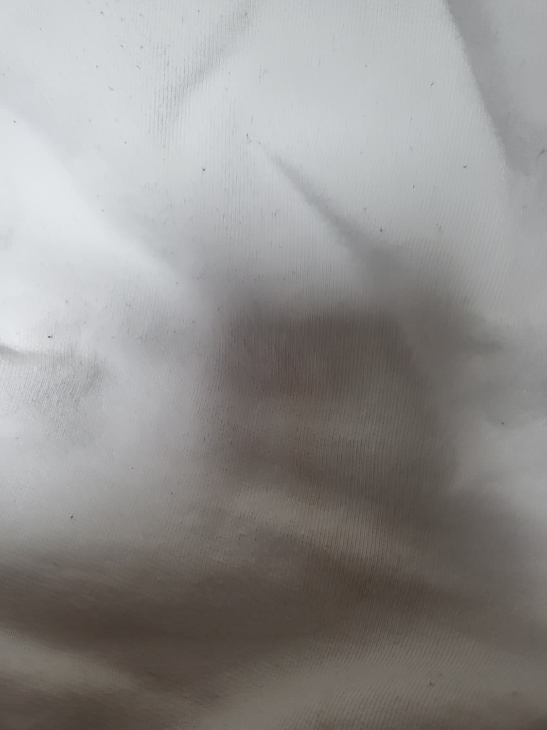 메종 마르지엘라 넘버링 화이트 후드티 52 상품이미지6