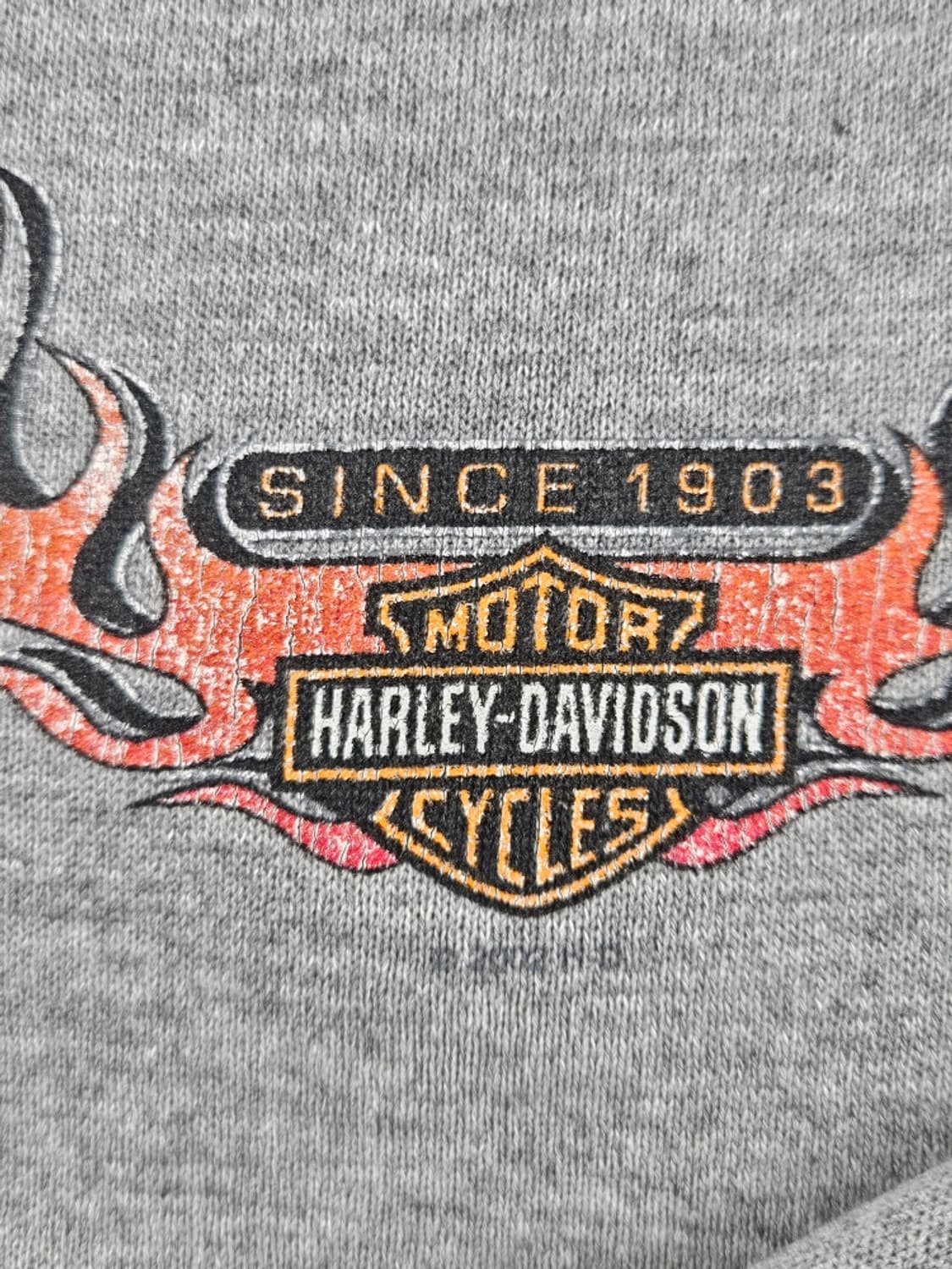 2002 할리데이비슨 엘크하트 플레임 후드집업 ( L추정 )/ 11318 상품이미지7