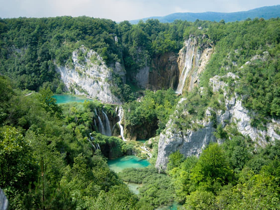 클래식) Canon ixus 50 ixy 55 캐논 디카 상품이미지10