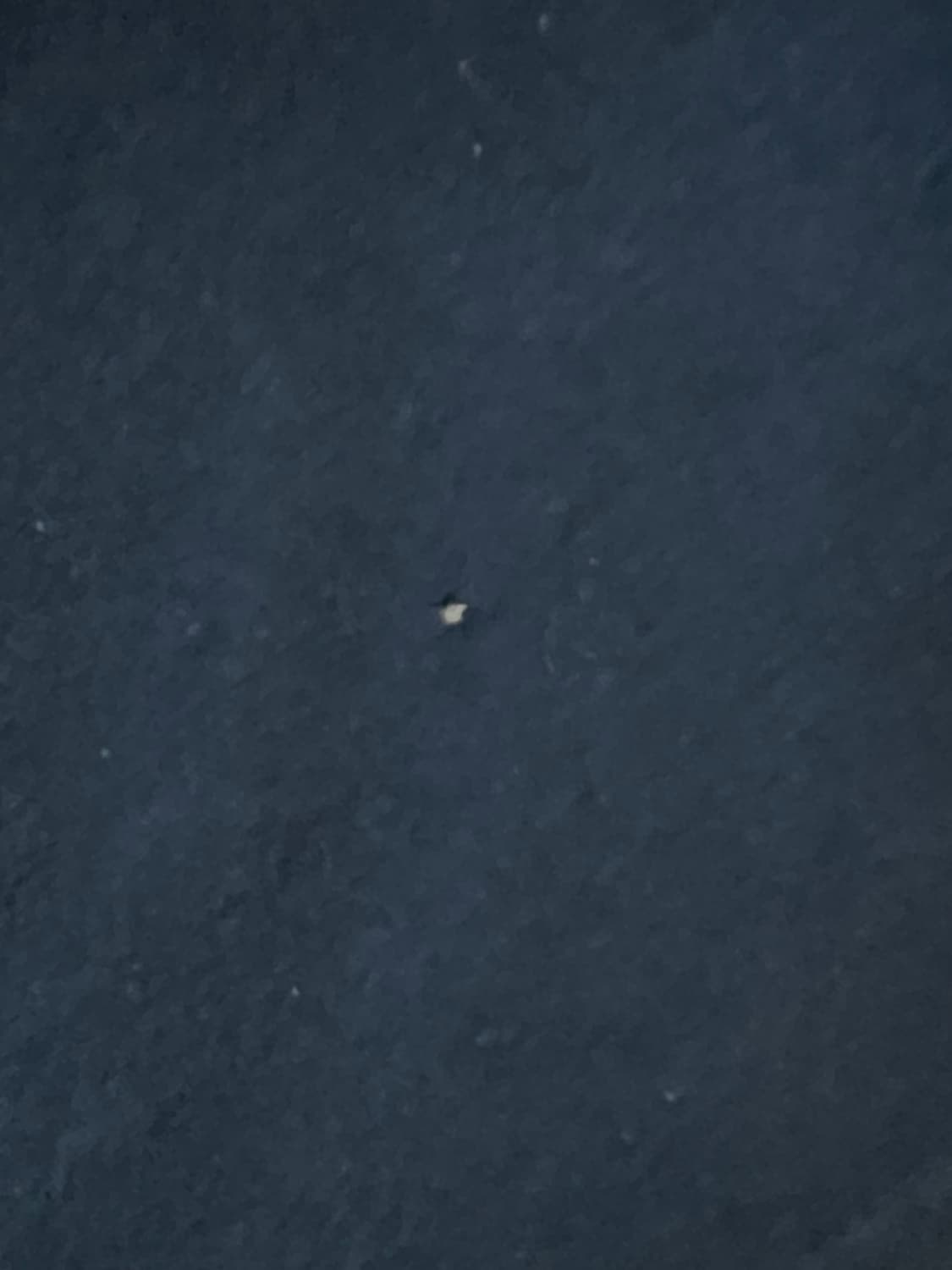 크롬하츠 롱슬리브 (L) 상품이미지8