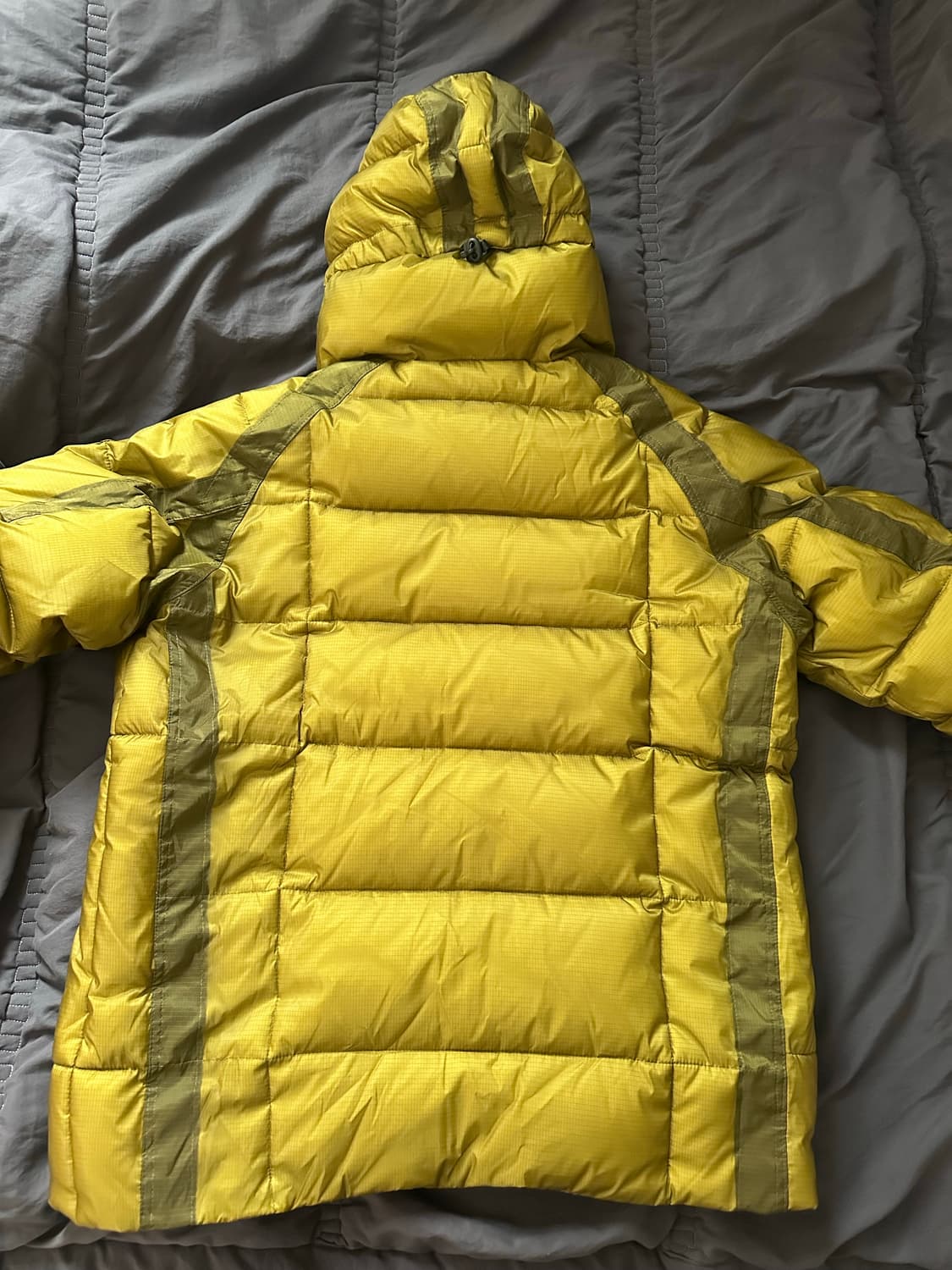 cp 컴퍼니 디디쉘 상품이미지2