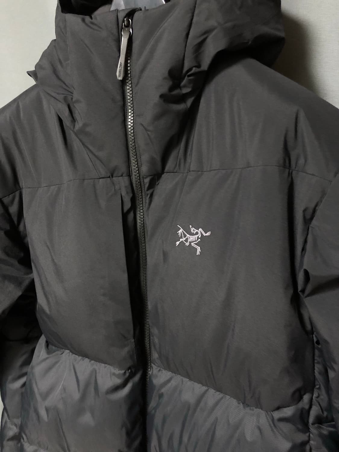 아크테릭스 토륨 sv 후디 상품이미지3