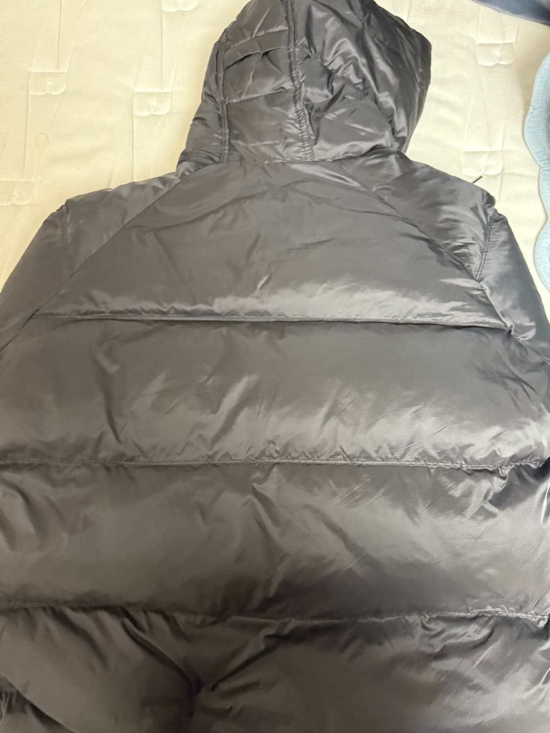 자라 숏패딩 24fw 상품이미지2