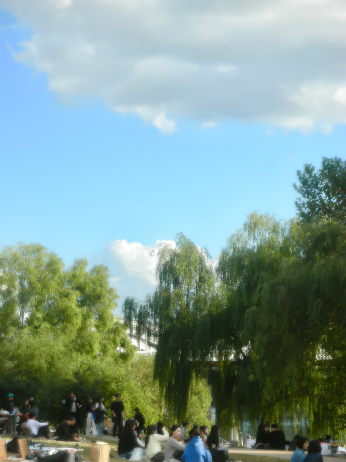 소프트포커스&셀카!) Olympus TG-860 디카 카메라 상품이미지2