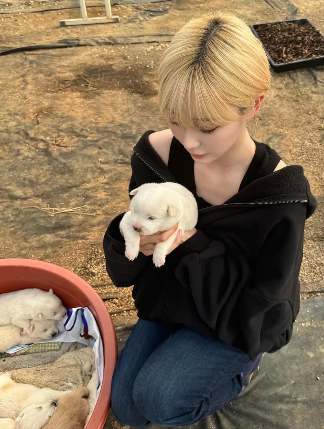 ㄱㅈ15)  에센셜 헤비 후드집업 블랙 상품이미지1