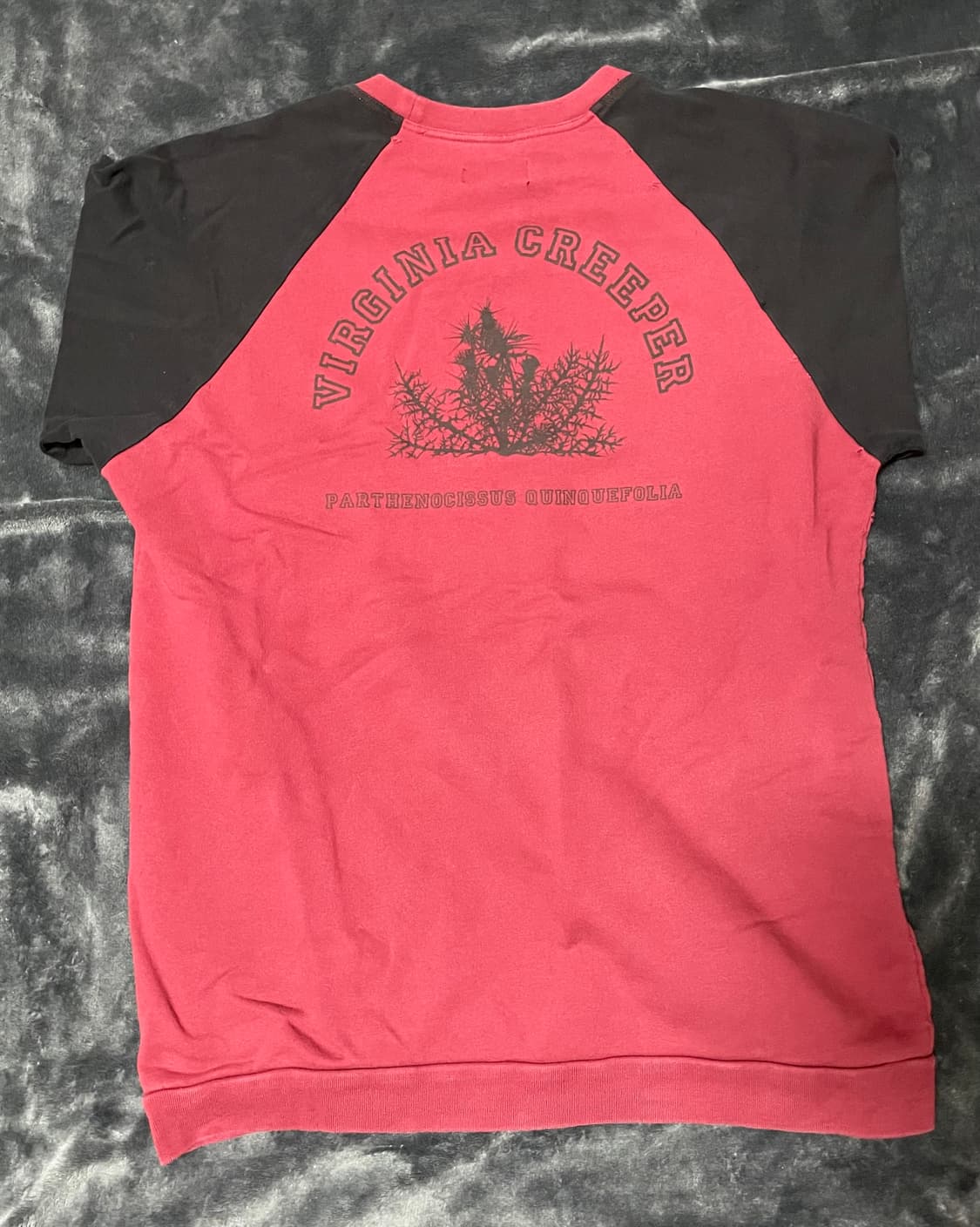 라프시몬스 리덕스 버지니아 크리퍼 반팔 크루넥 상품이미지2