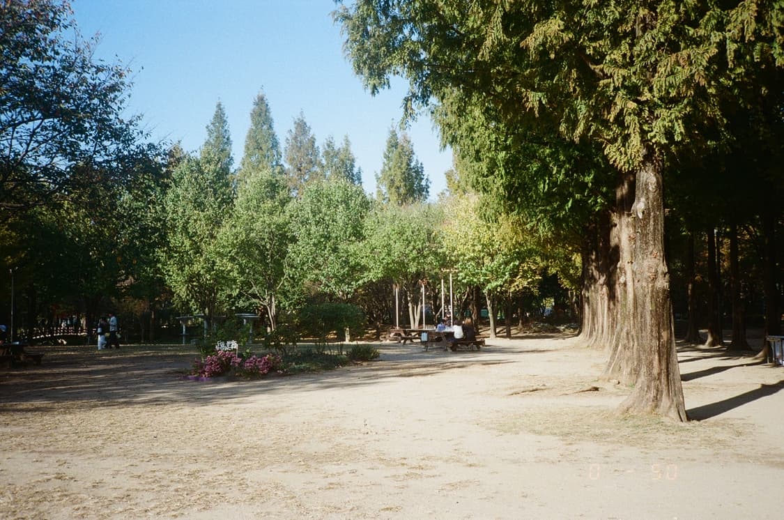 오늘만 이 가격 /FUJI Tele Cardia후지 텔레 필름 카메라 상품이미지6