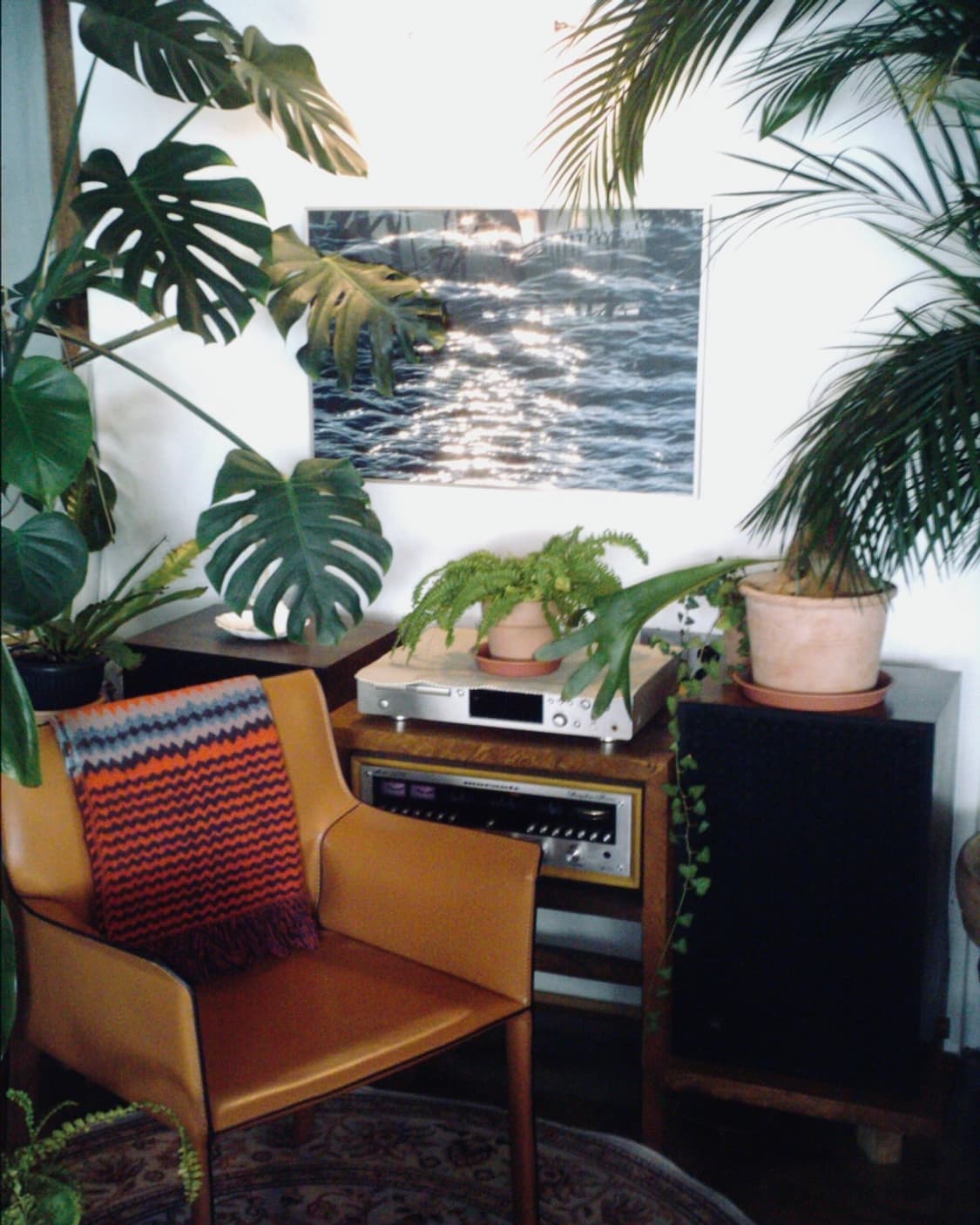 AVOX adss-02xs 빈티지디카 상품이미지8