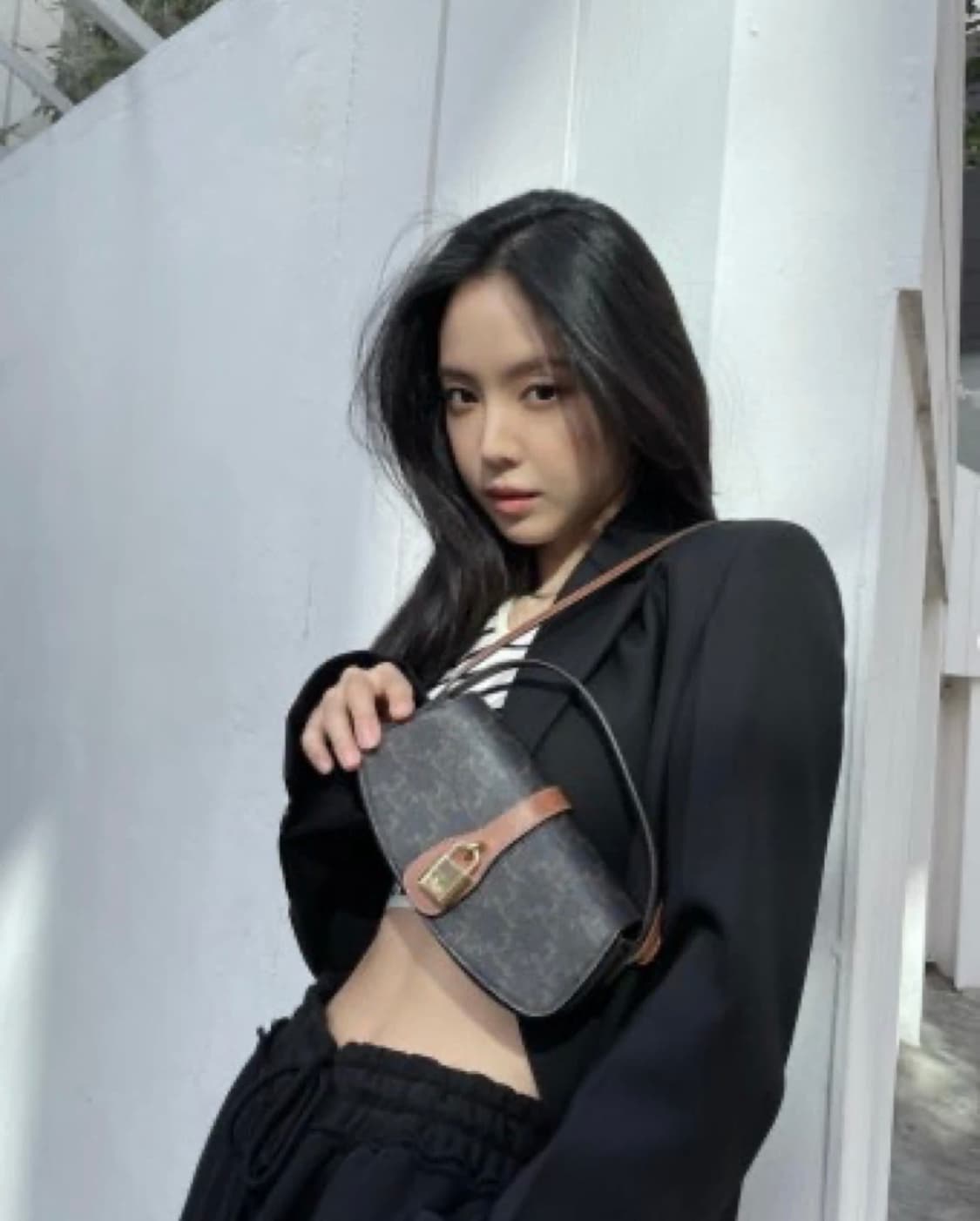 셀린느 타부백 상품이미지3