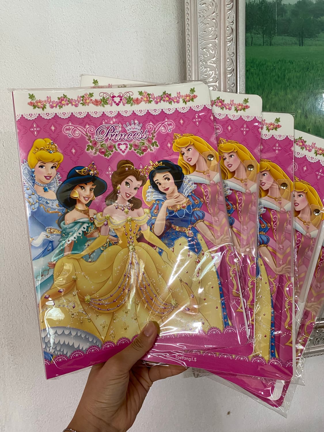 디즈니 공주 화일 5개세트 상품이미지1