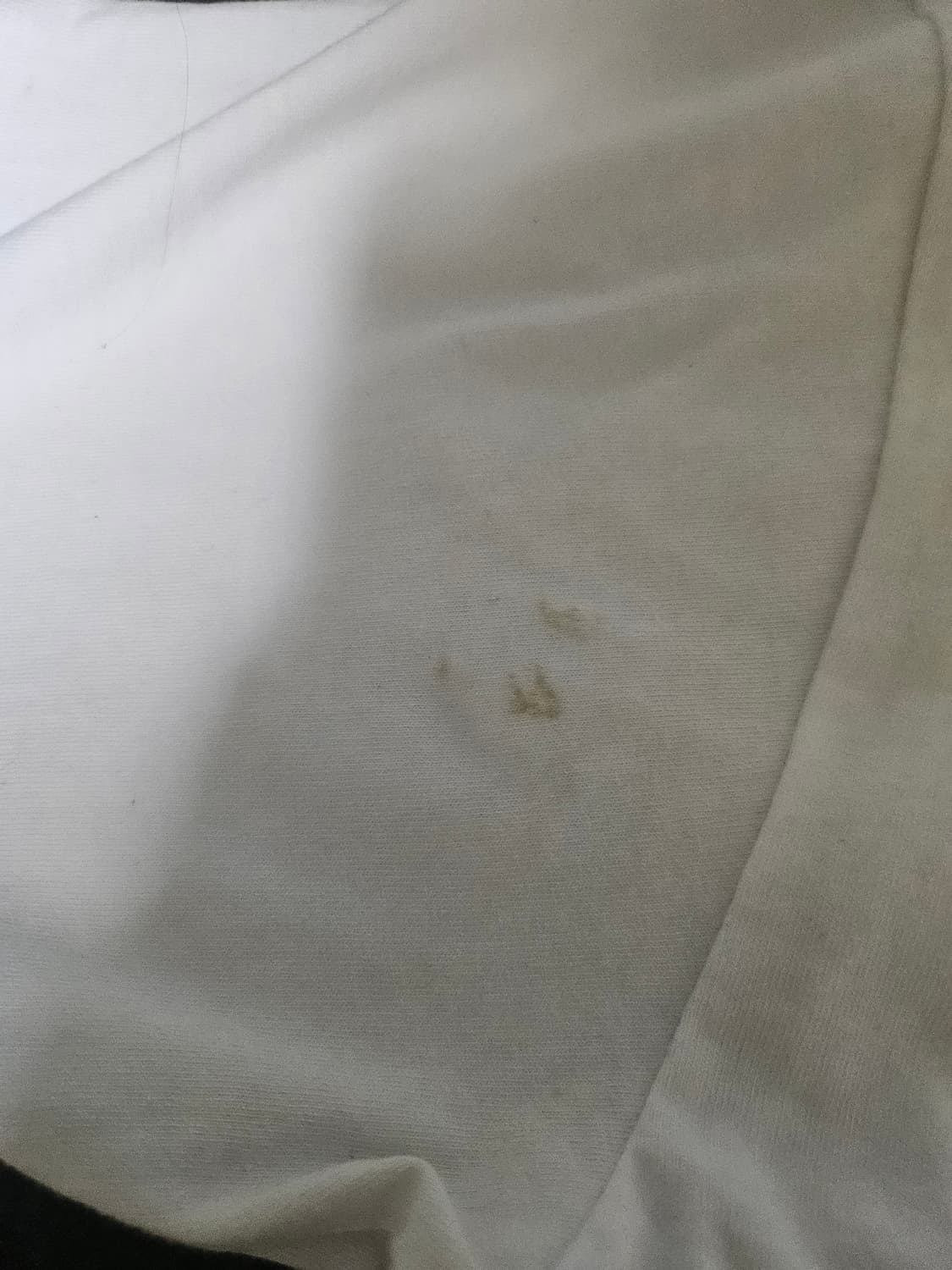 베이프 빅에이프 반팔 상품이미지3