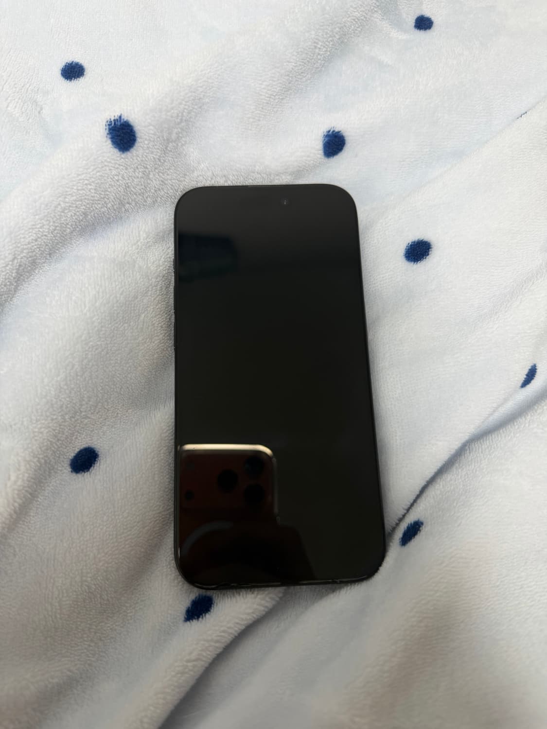 아이폰15 pro 티타늄 블루 상품이미지2