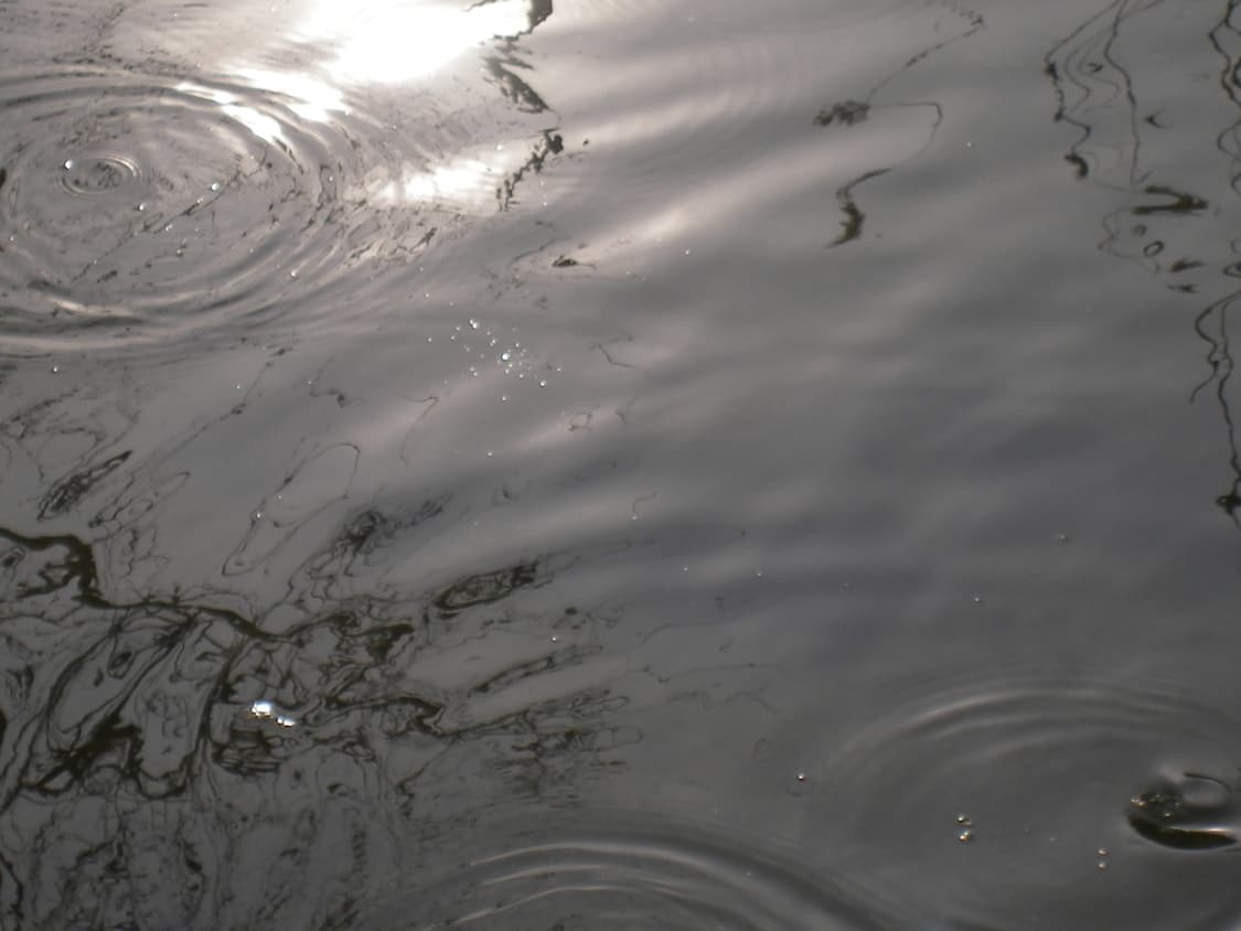 펜탁스 옵티오 m10 상품이미지4