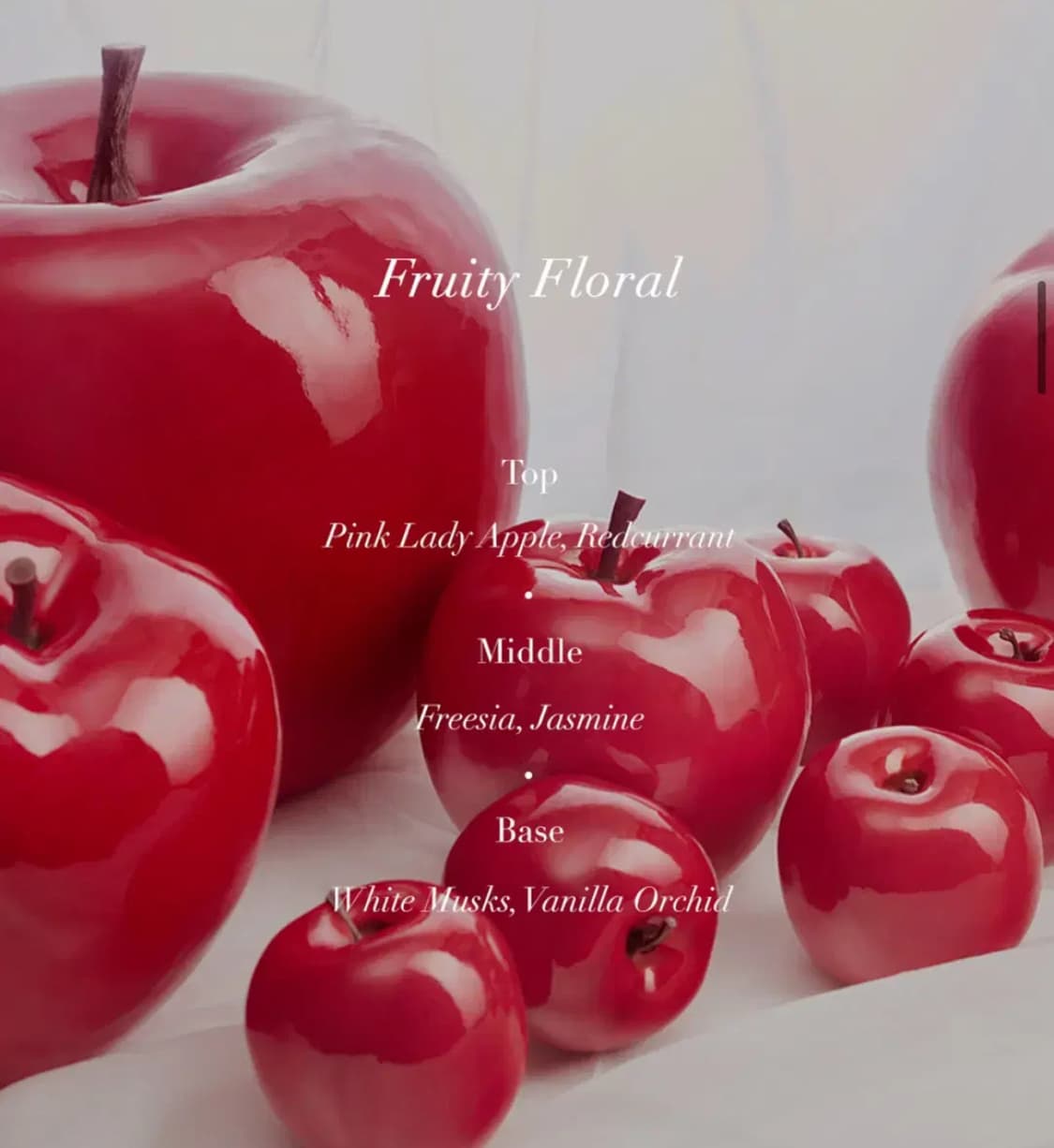 [랑방] 모던 프린세스 EDP 60ML 상품이미지3