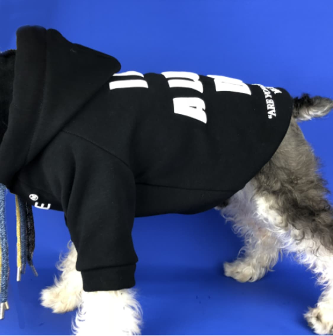 유니크 블랙 강아지 후드티셔츠 상품이미지3