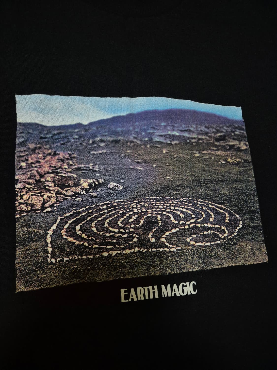 Carhartt Wip Earth Magic Tee 상품이미지2