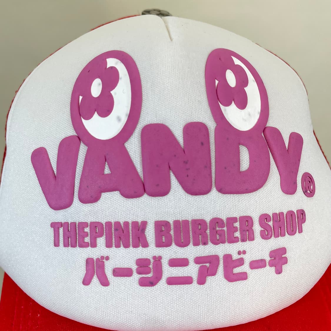 VANDYTHEPINK 반디더핑크 매쉬캡  상품이미지2