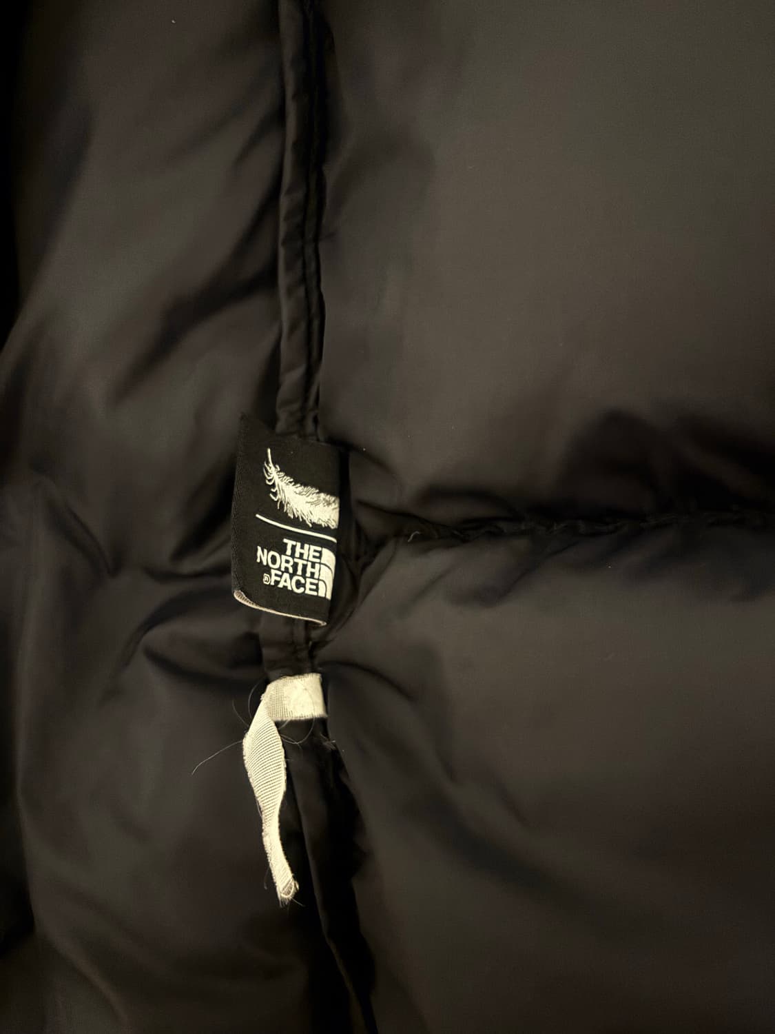 노스페이스 눕시 1996 L 블랙 상품이미지5