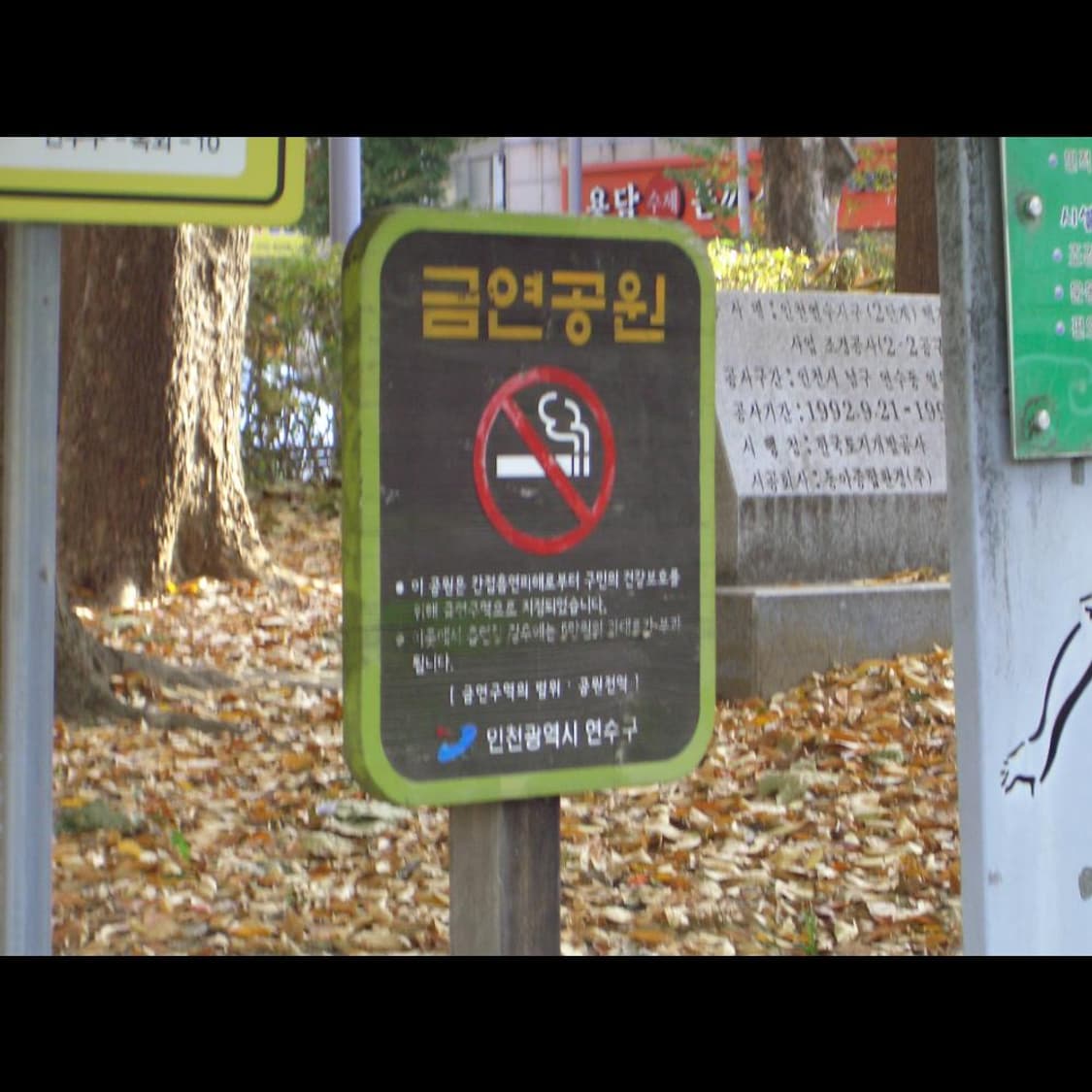 작례⭕️ 카시오 QV-R51 박스 실버 메탈릭⌚ 상품이미지3