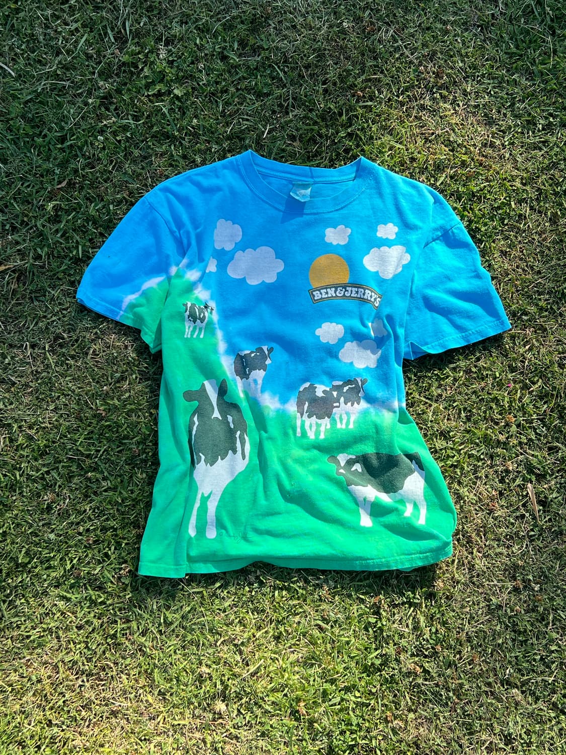 Ben&jerrys Anvil 00s T shirt 상품이미지1