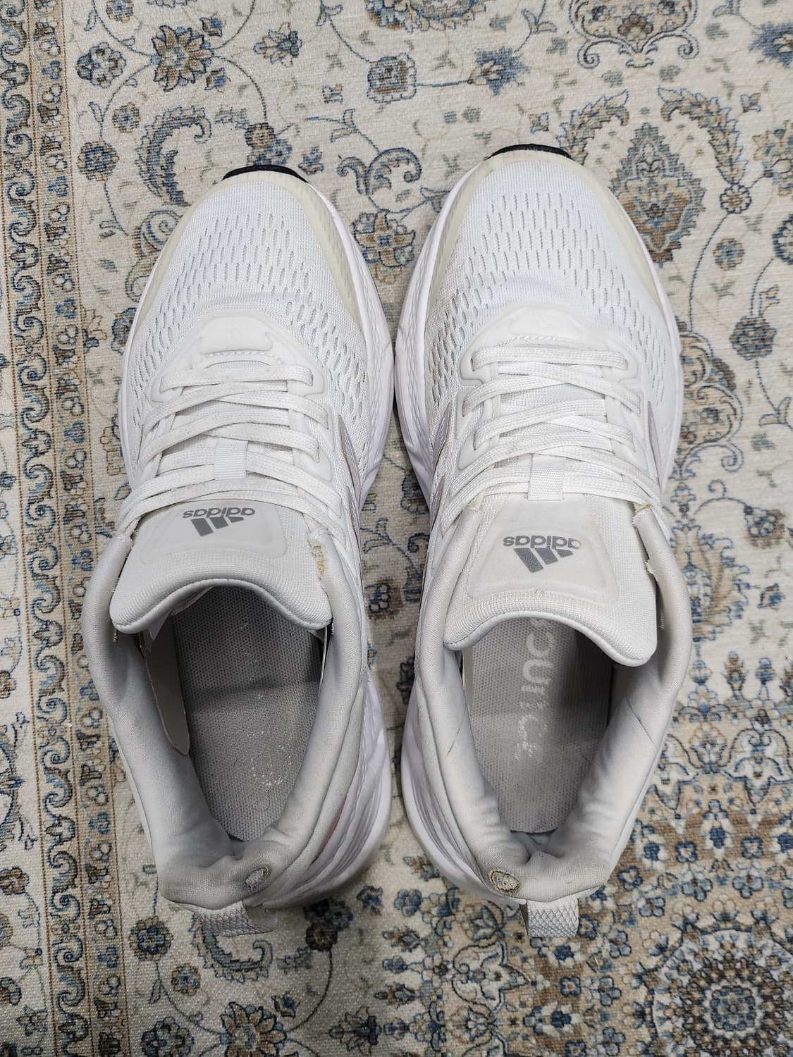 아디다스 퀘스타 스니커즈 250mm 상품이미지6