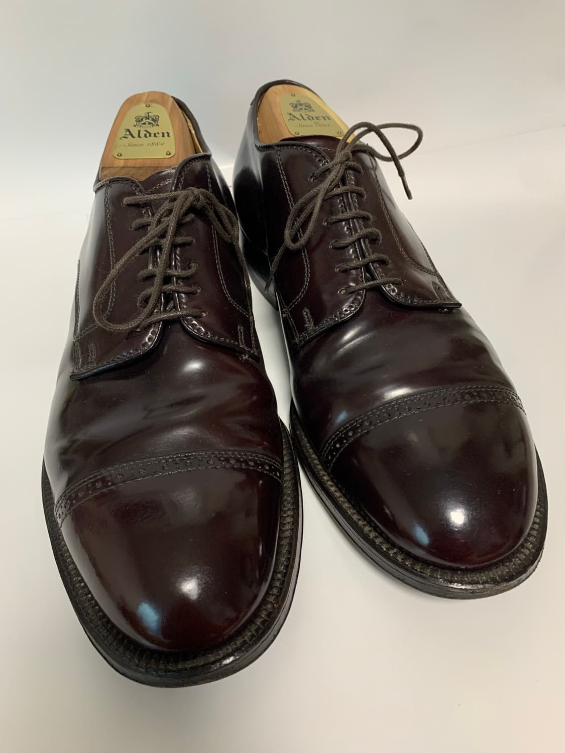 알든 모디파이드 56201 상품이미지4