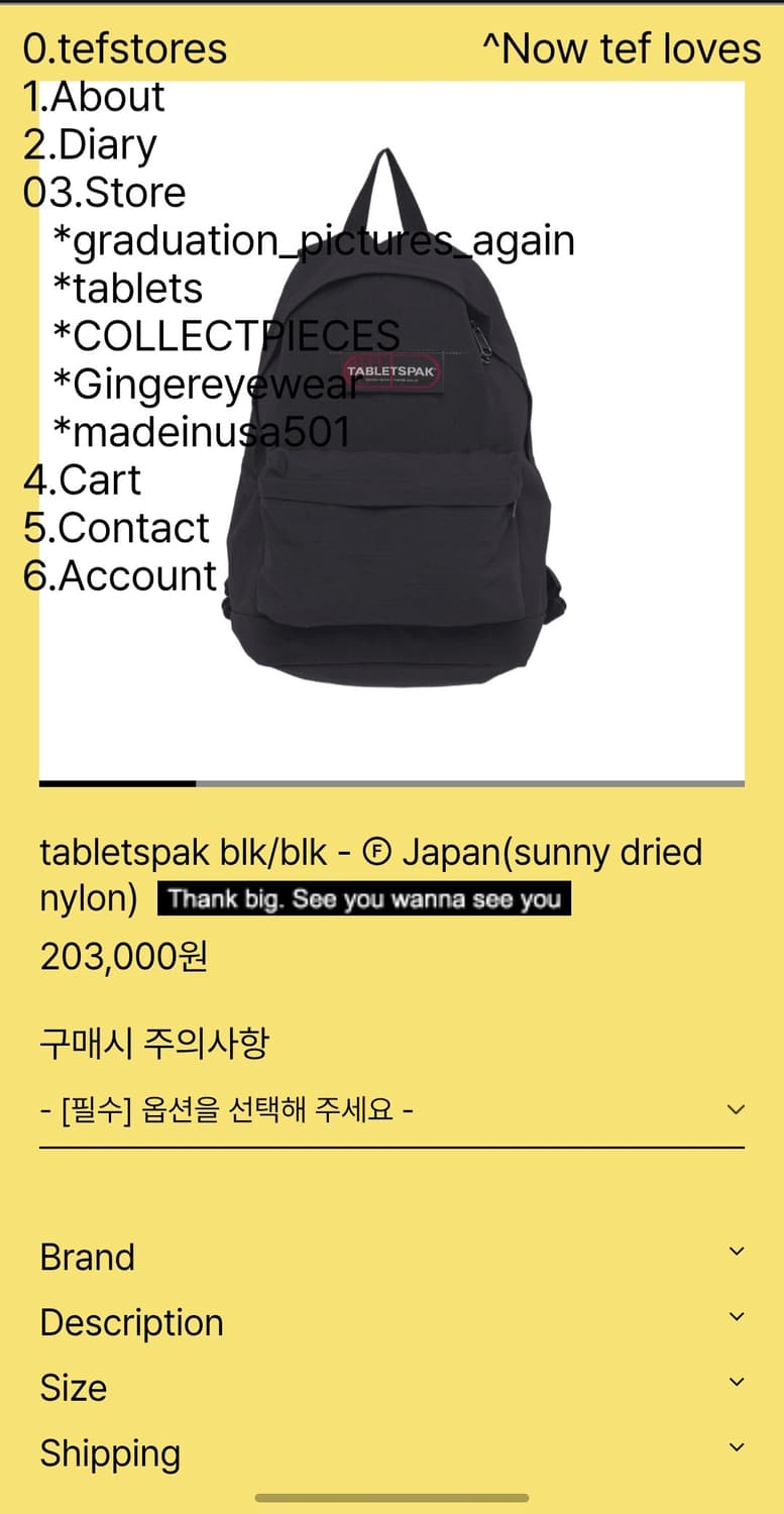 테프스토어즈 가방 상품이미지1