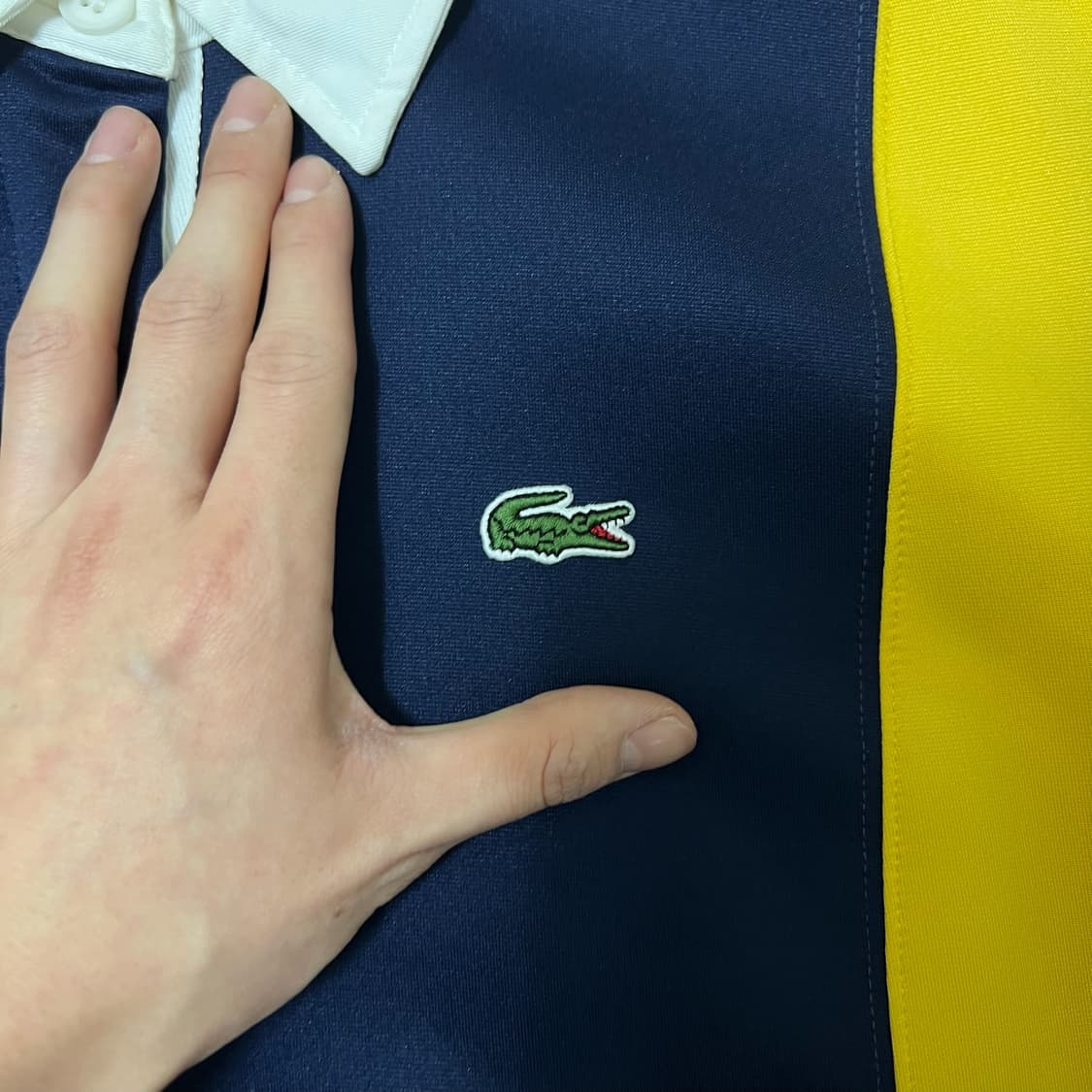 라코스테 여성 로고 카라 원피스 S/90  상품이미지3