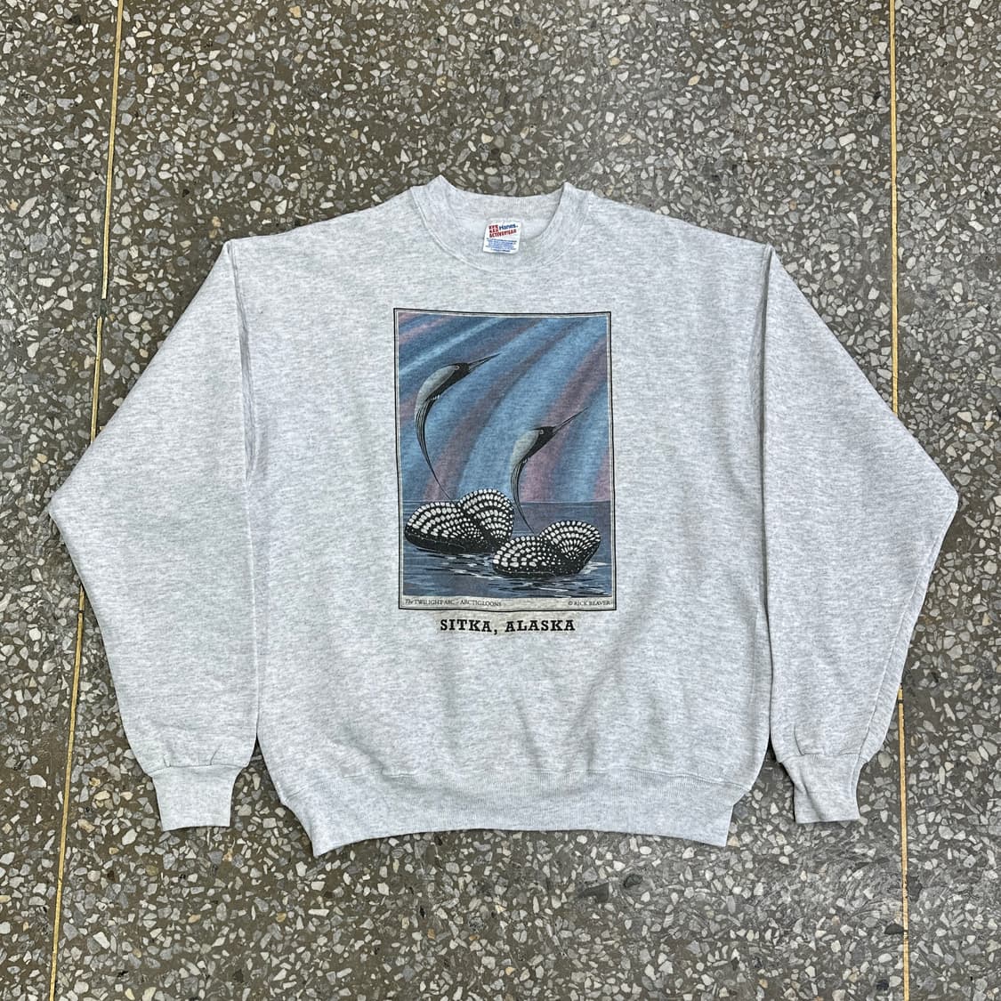 90s 헤인즈 아트 빈티지 스웻셔츠 XL 상품이미지1