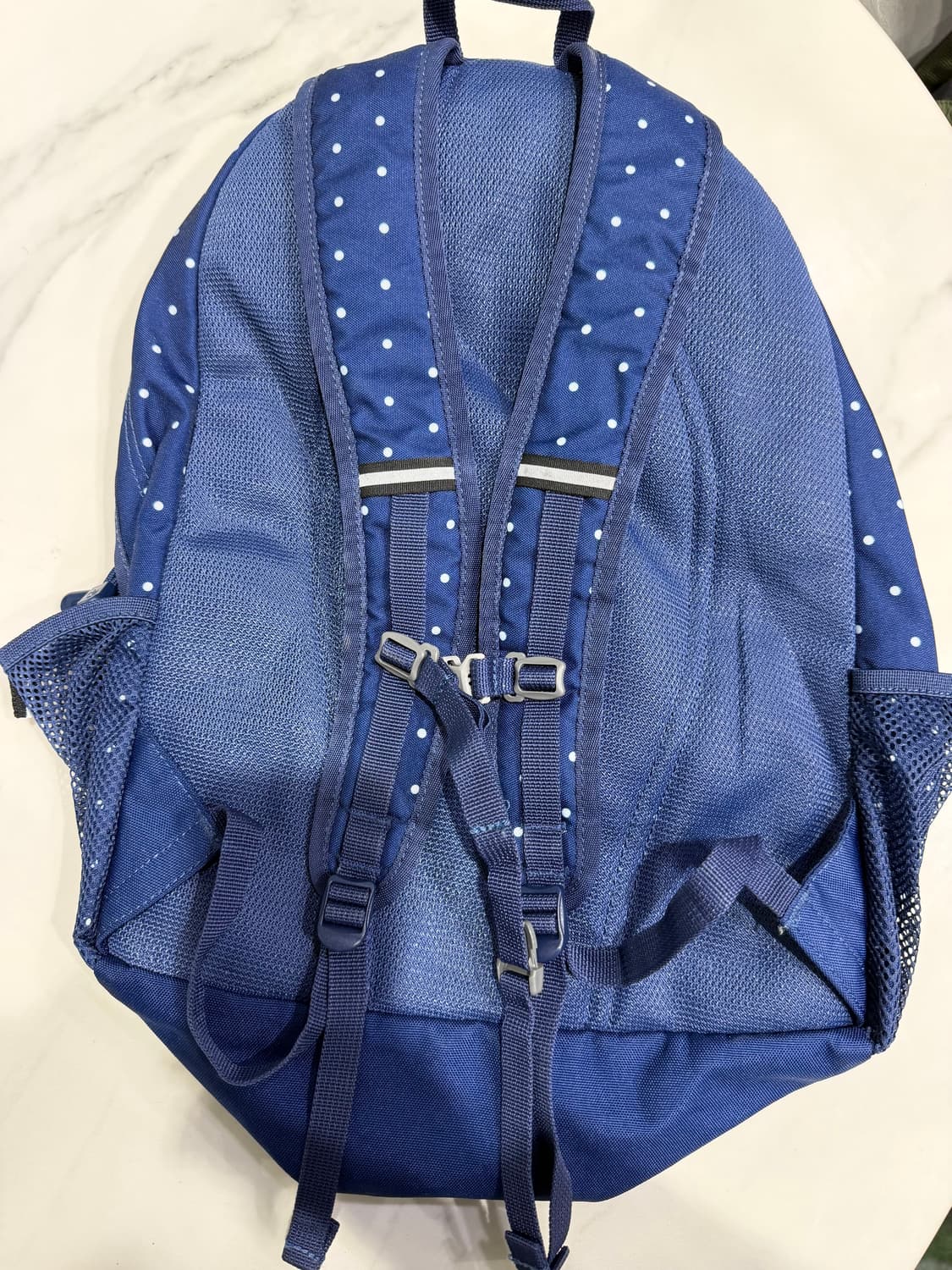 콜맨 땡땡이 백팩 상품이미지2