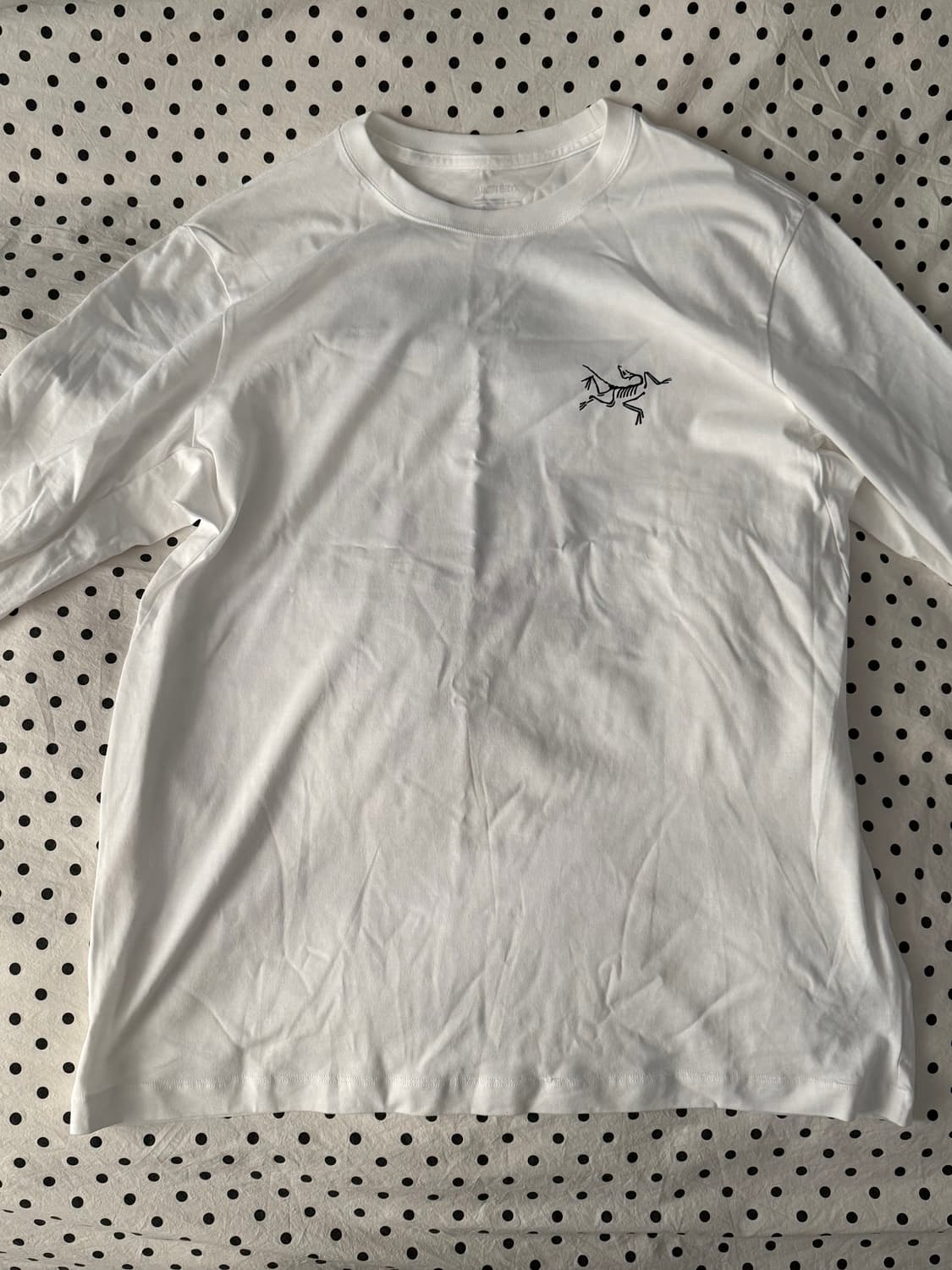 [L] 아크테릭스 아크멀티 버드 로고 롱슬리브 상품이미지1