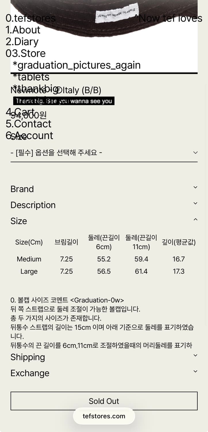 tef stores 테프 스토어즈 캡 상품이미지7