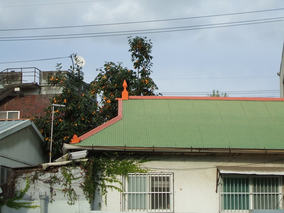 Fujifilm 후지필름 V10 오렌지 상품이미지3