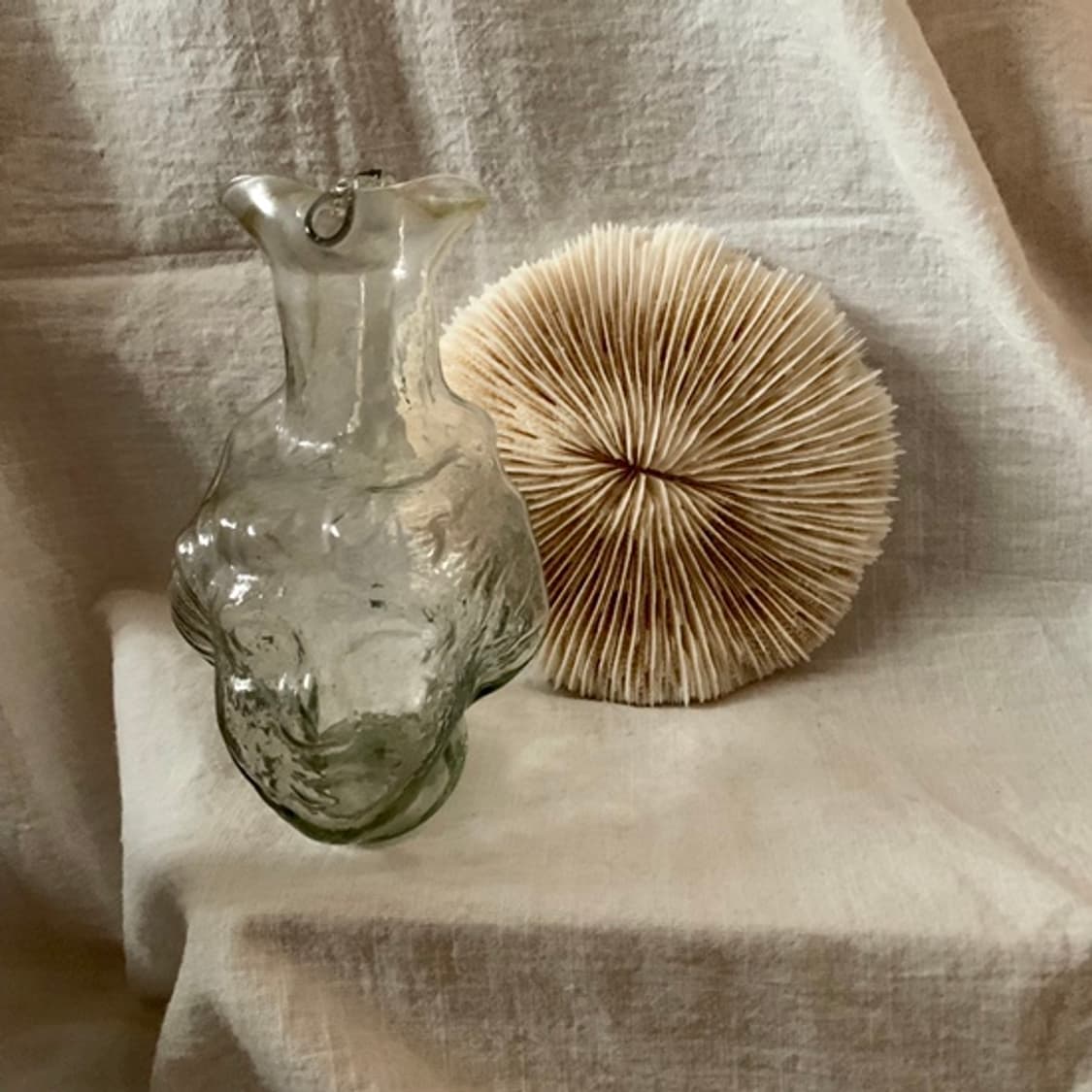 Round Coral Objet (S) 상품이미지3