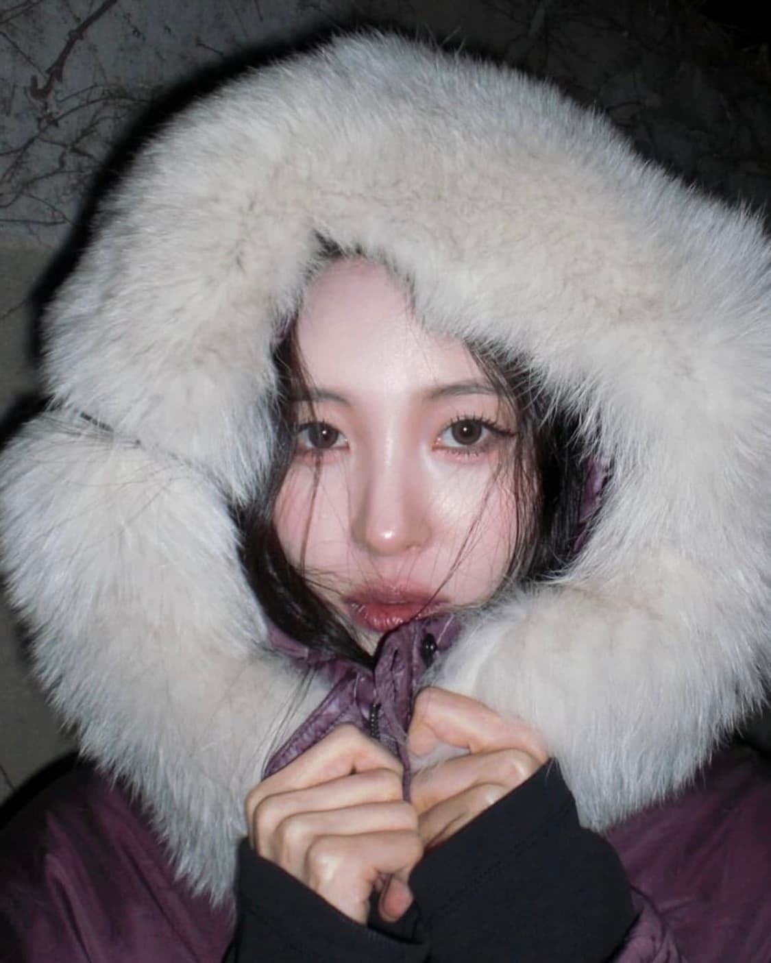 카시오 z80 카리나,츄,선미 디카💕 상품이미지7