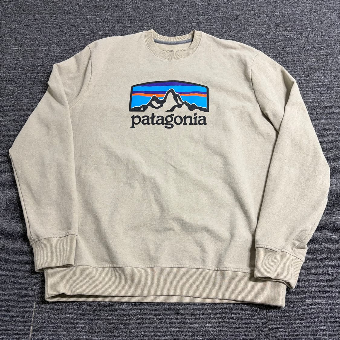 파타고니아 피츠 로이 호라이즌 맨투맨 상품이미지1