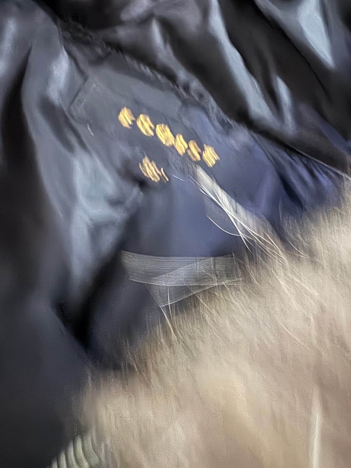 여성 에고이스트 라쿤 퍼 경량 패딩 점퍼 S 블랙 상품이미지3