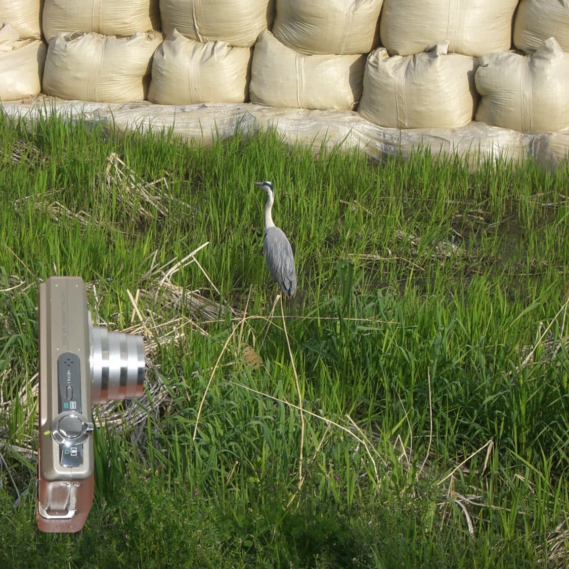 Casio EX-Z500 (✨A급/🎁풀패키지) 상품이미지9