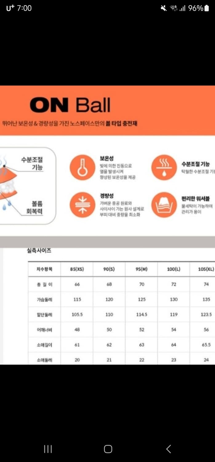 노스페이스 온볼 그레이 패딩 상품이미지9