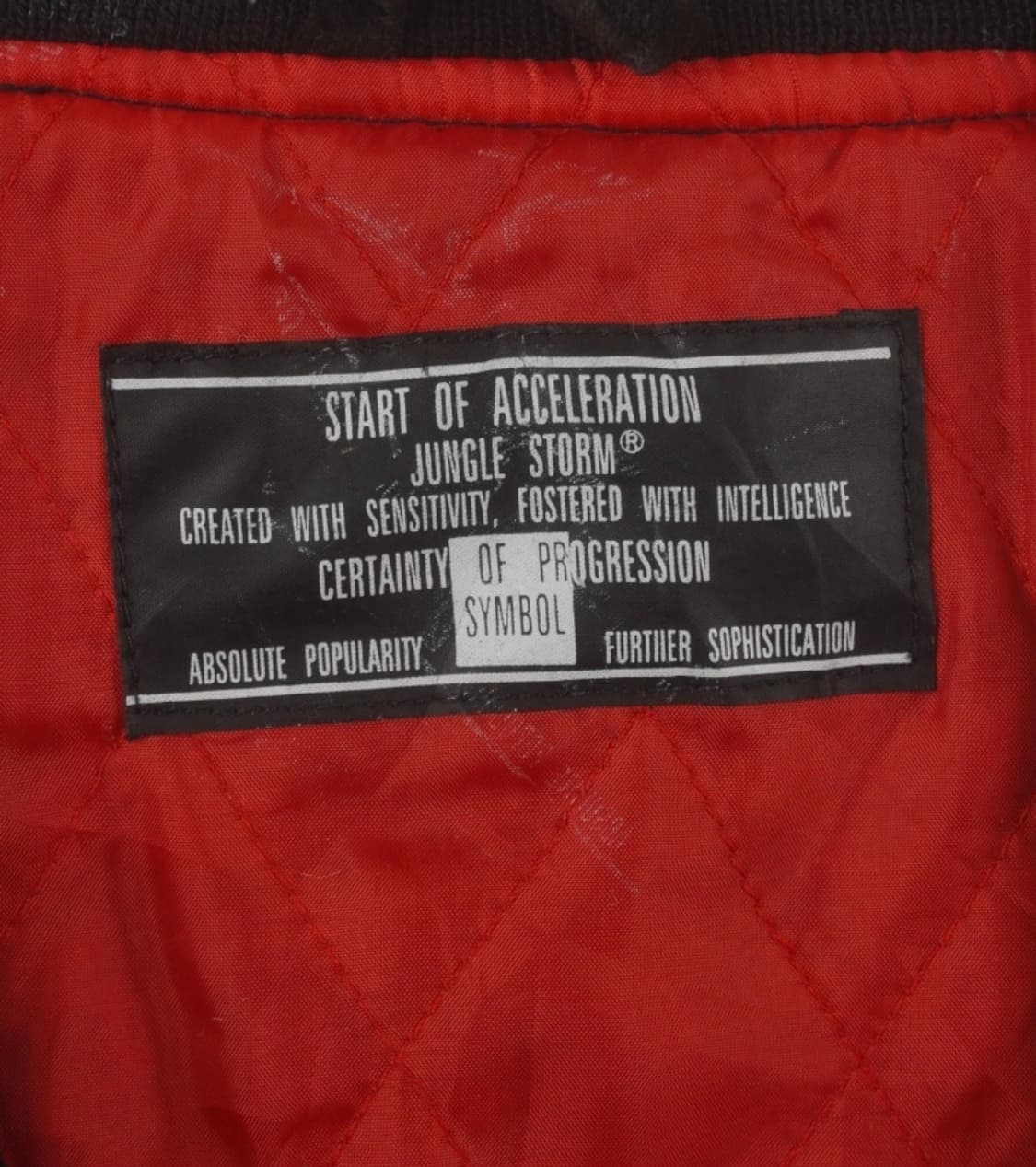 Jungle Storm souvenir jacket 상품이미지3