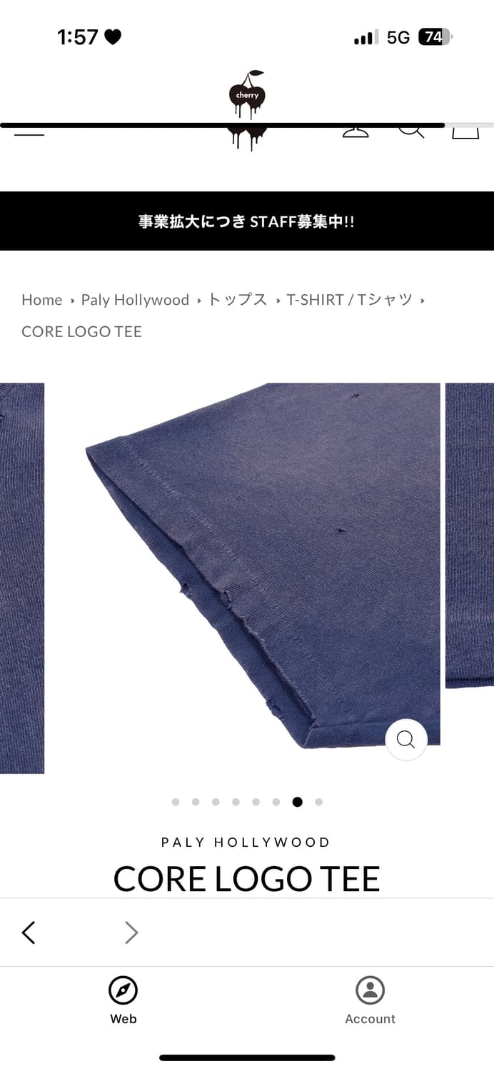 [L] 팔리 할리우드 반팔 상품이미지7