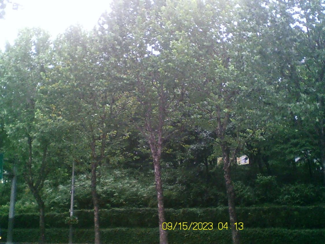 Vivitar DVR-610 상품이미지7